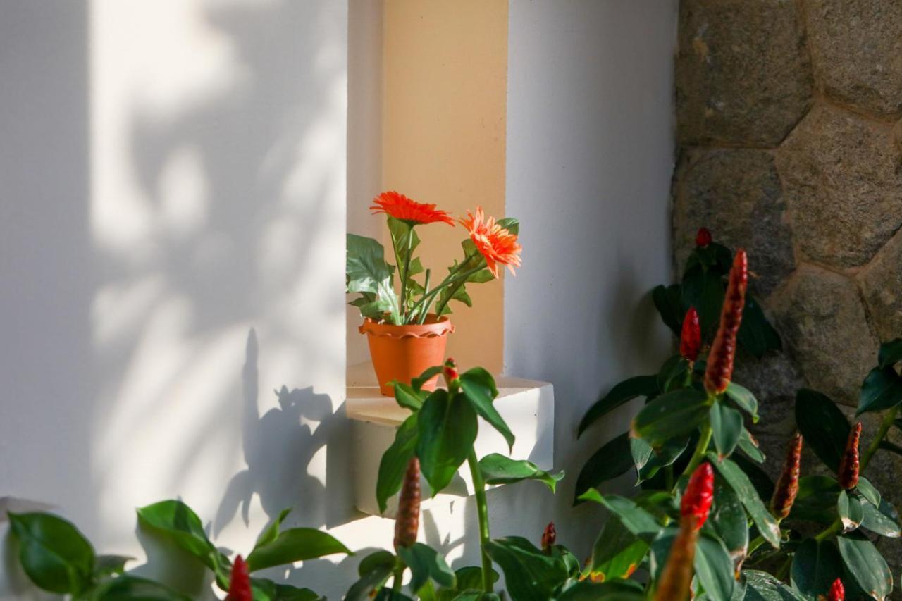 Prima Villas Karon Phuket Ban Karon Ngoại thất bức ảnh